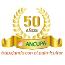 ancupa.com