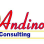 Andino Consulting Group Inc logo