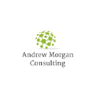 Andrew Morgan Consulting LLC
