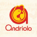 andriolo.com.br