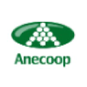 anecoop.com