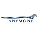 anemone.nl