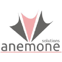 anemonesolutions.com