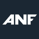 ANF Group Inc Logo