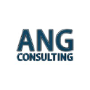 angconsulting.net