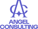 angelconsulting.fr