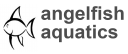 Angelfishaquatics