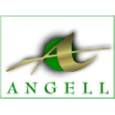 ANGELL PENSION GROUP INC