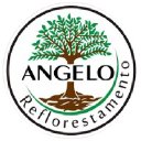 angeloreflorestamento.com.br