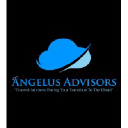 Angelus Advisors LLC