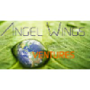 angelwingsventures.com