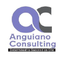 anguianoconsulting.com