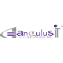 angulusits.com