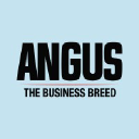 angus.org