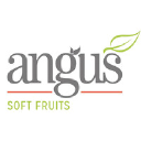 angussoftfruits.co.uk