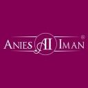Logo for aniesiman.com