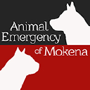 animalemergencyofmokena.com