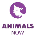 animals-now.org