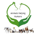 animaltherapies.org.au