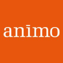 animoassociates.com