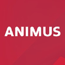 animus.com.ar