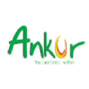 ankuronline.com