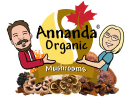annandachaga.com