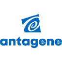 Antagene