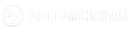 antarcking.com