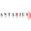 antarius-is.com