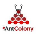 antcolony.in