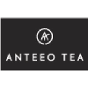 anteeotea.com