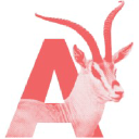antelope.agency