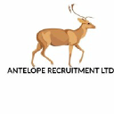 anteloperecruitment.com