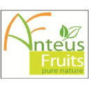 anteusfruits.com