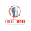 Anthea Lettings logo