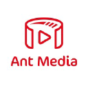Ant Media logo