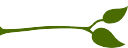 Antonucci Lawn and Garden Co Logo
