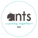ants-asso.com