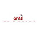 ants.cl