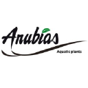 anubias.com