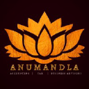 Anumandla Accounting Limited logo