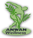 anwanwellness.com