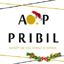 aop-pribil.com