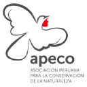 apeco.org.pe