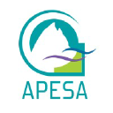 Apesa Avatar