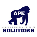 APE Solutions
