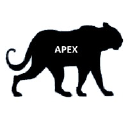 Apex Cybersecurity Solutions Inc