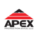 apexprotectionservices.com