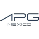 apgmexico.mx